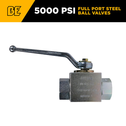 3/8" Female NPT Stainless Steel Ball Valve Kit